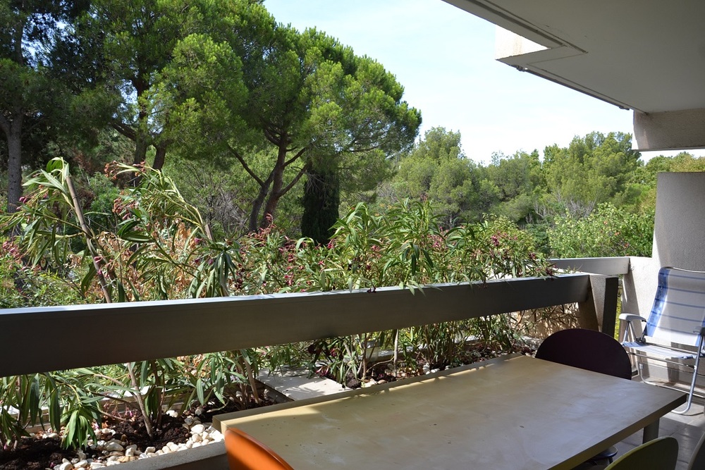 Appartement - Marseille  13008