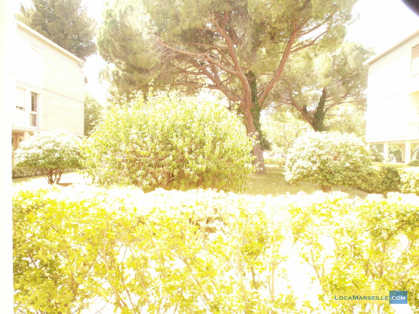 Studio du Roy* - Marseille 13008