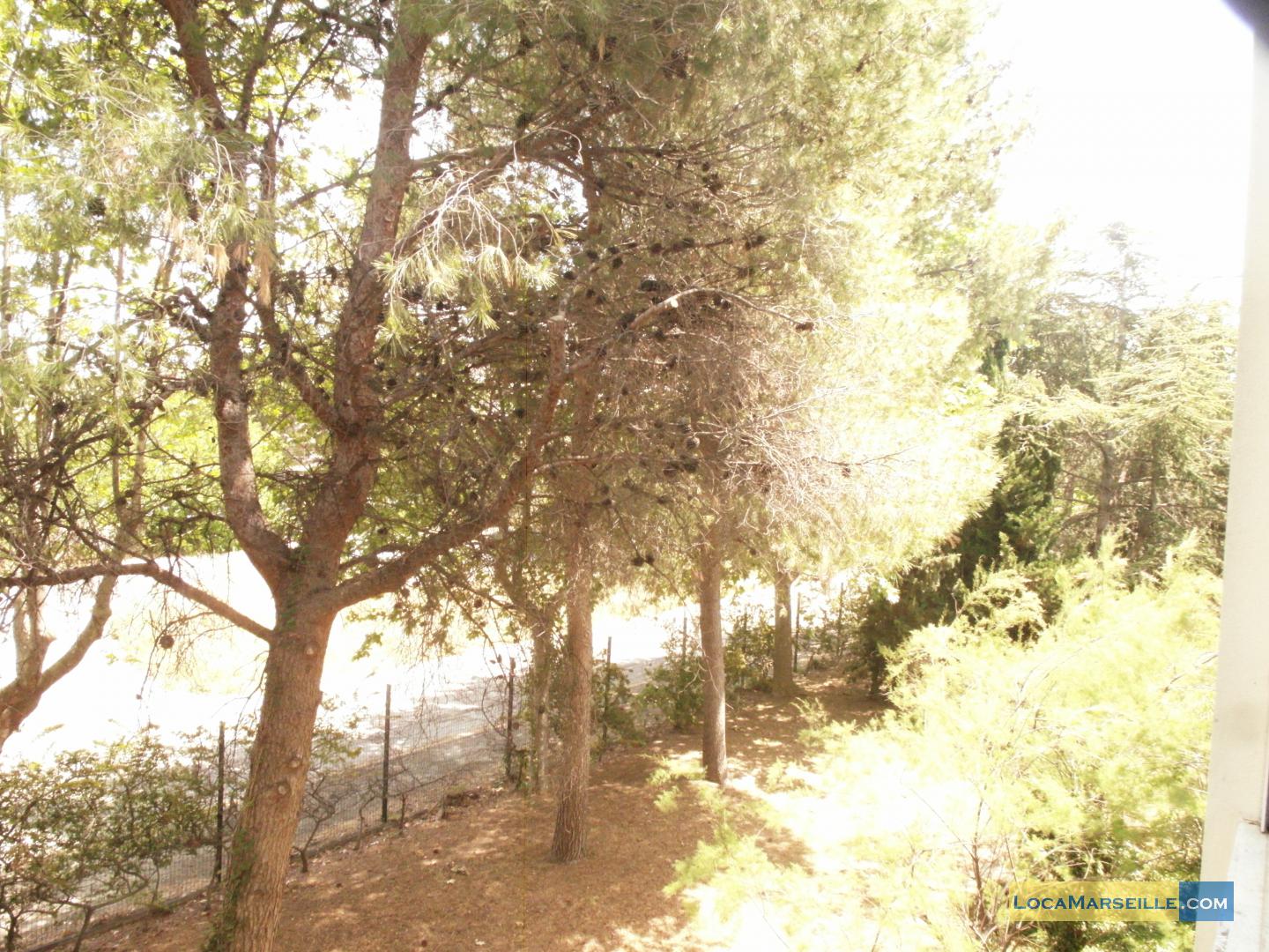 Studio du Roy* - Marseille 13008